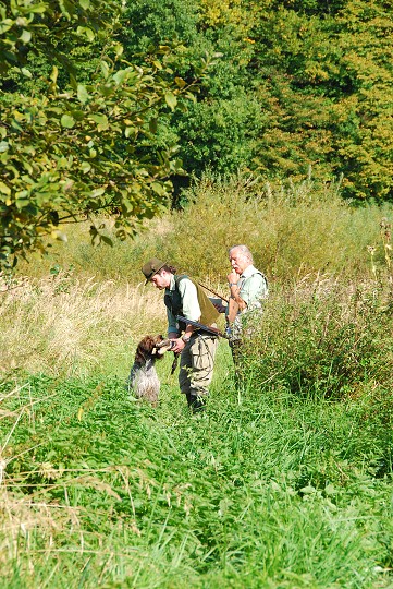 img00042.jpg