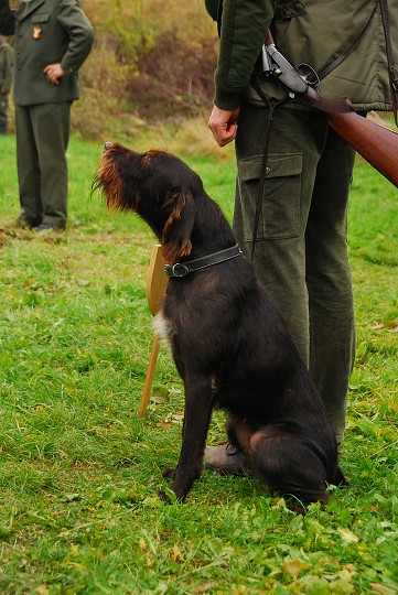 img00009.jpg