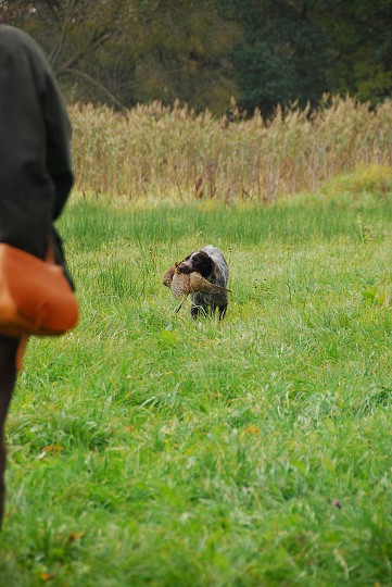 img00013.jpg