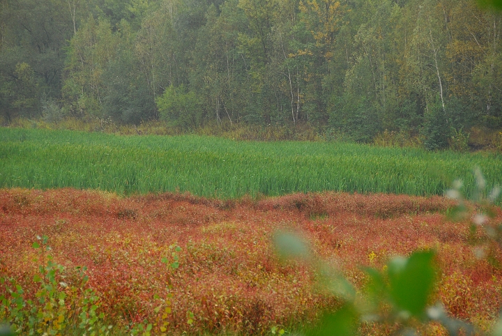 img00017.jpg