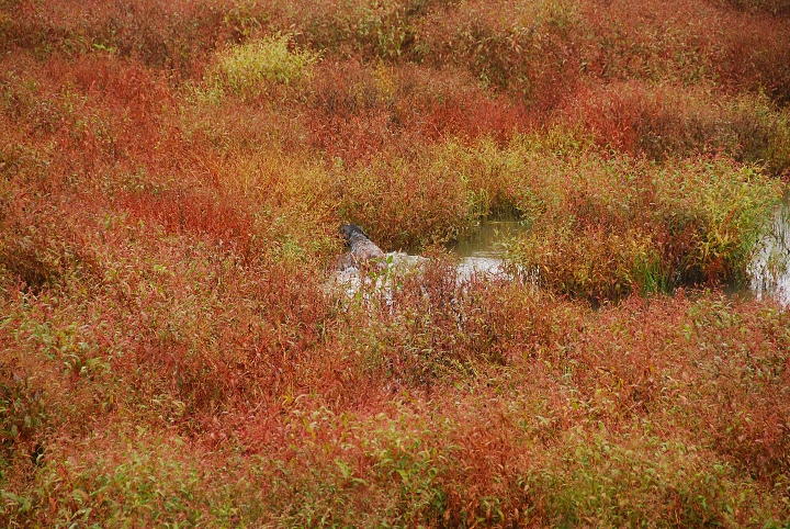 img00019.jpg