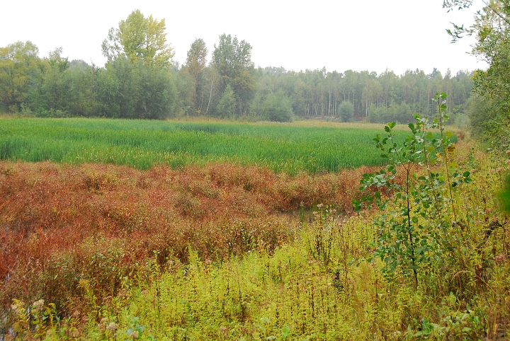 img00025.jpg