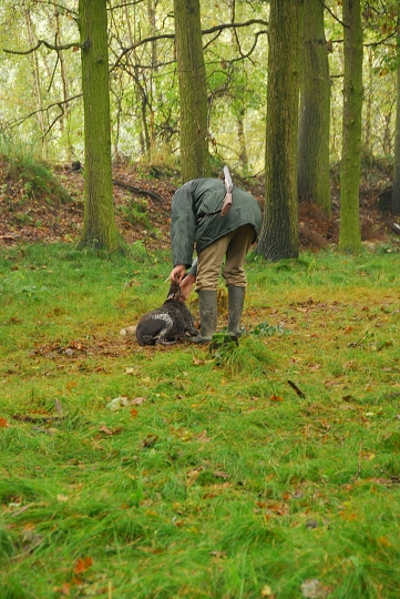 img00073.jpg
