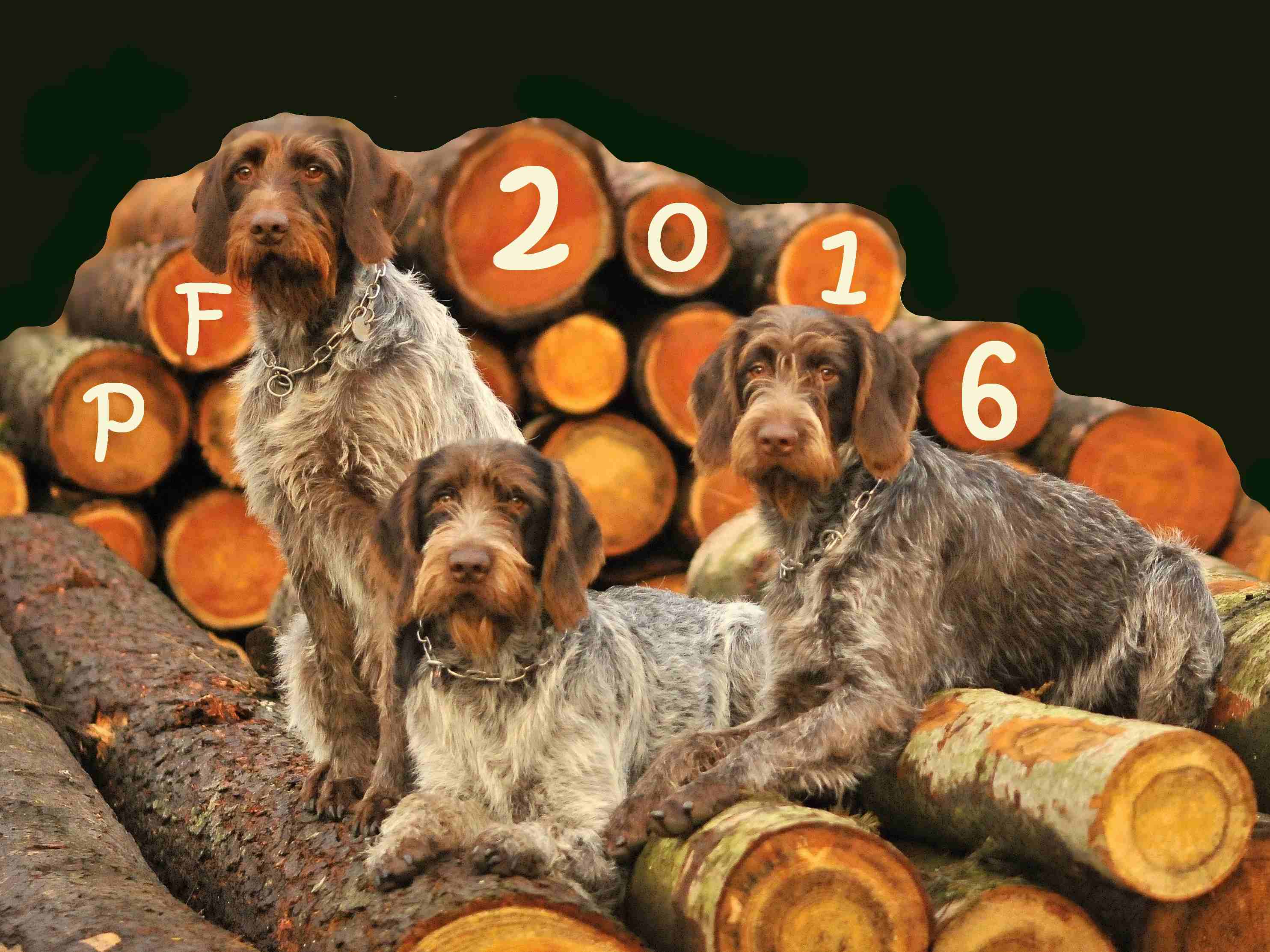 PF 2016
