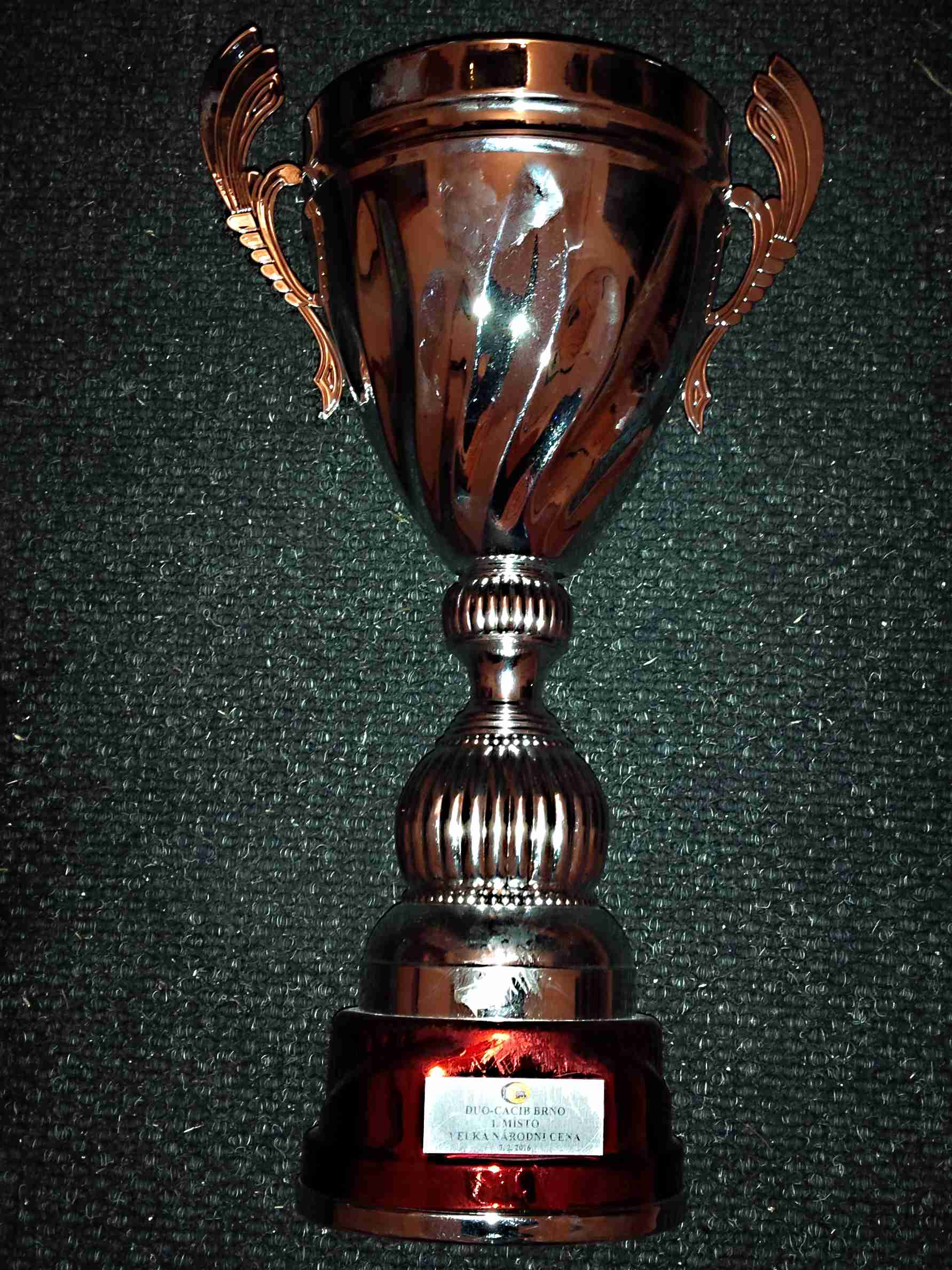 pohar mvp duo brno 2016
