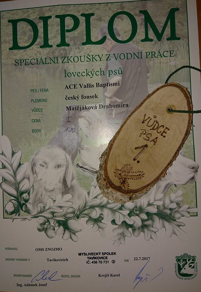 ace voda
