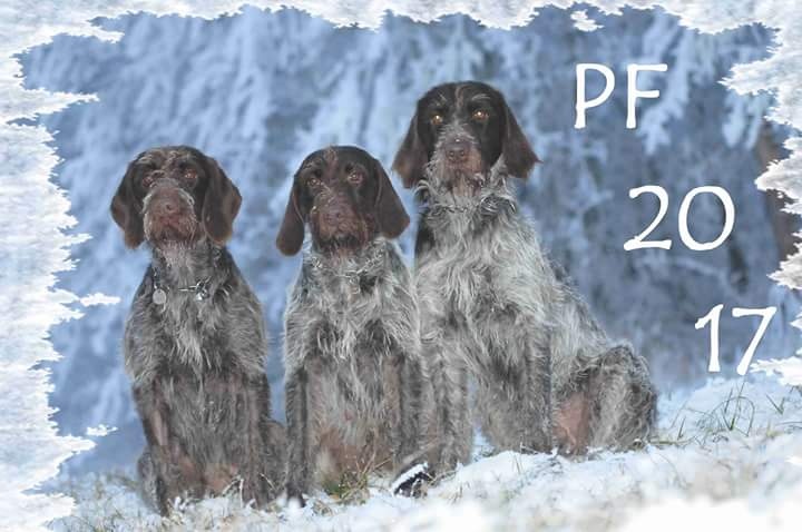 pf2017