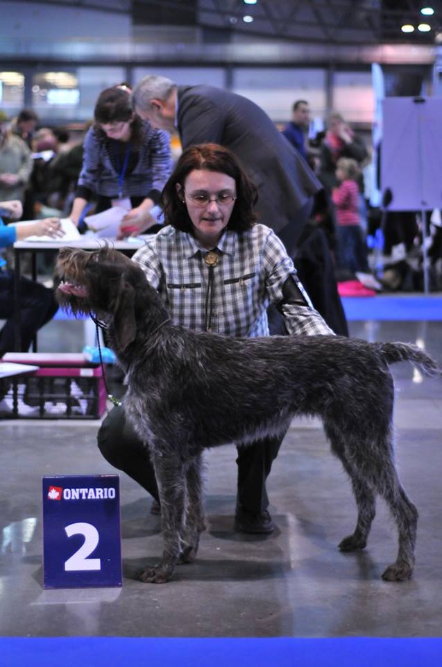 ace nvhan2016