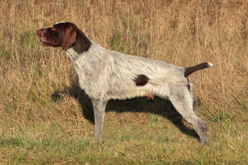 crusoe1