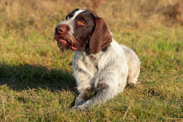 crusoe2
