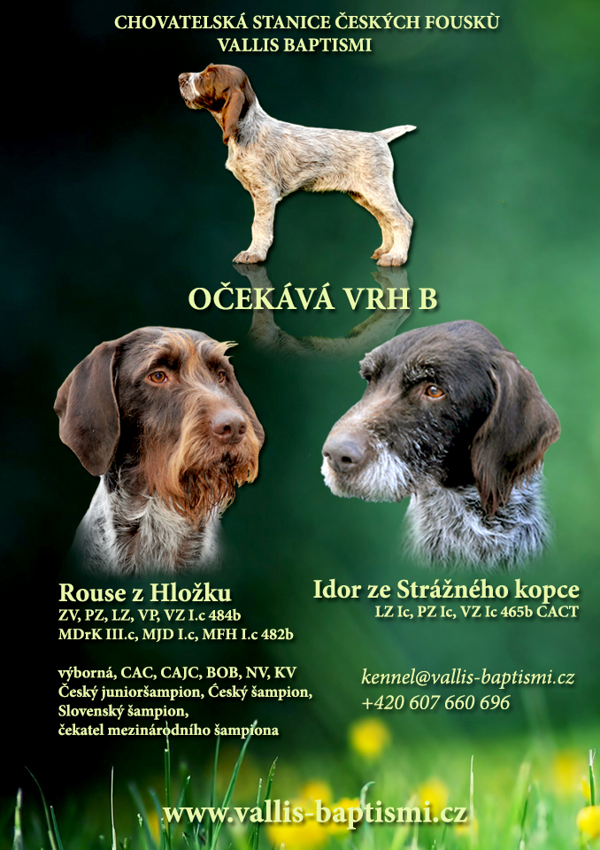 letacek vrh b