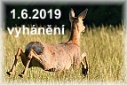 01062019 vyhaneni