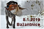 bažantnice 8.1.2019