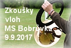 Zkoušky vloh Bree vallis Baptismi 9.9.2017