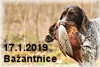 bažantnice 17.1.2019