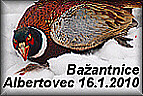 Foto hon Albertovec