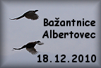 Foto hon Albertovec