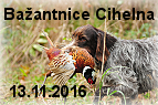 bažantnice Cihelna 2016