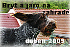 Bryt a jaro