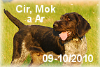 Cir Mok Ar
