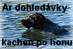 Foto dohledávky kachen po honu