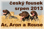 Ar od Jemčinských dubů, Rouse z Hložku, Aron Bednárecké kopce srpen 2013
