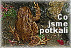 Co jsme potkali