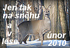 únor 2010