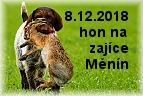 hon na zajíce Měnín prosinec 2018