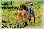 Mok - zkoušky lesní