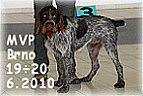 Foto MVP 19.6.2010