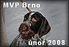 Foto MVp Brno