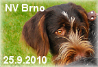 Foto NV Brno 25.9.2010
