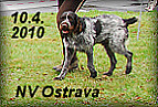Foto NV Ostrava 2010