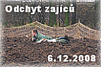 Odchyt zajíců