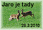 Ar a Mok a Ir