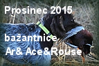 prosinec 2015