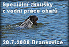Foto SZVP