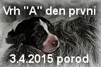 vrh-a-porod-03042015