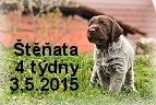 vrh-a-stenda-05042015
