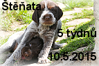 vrh-a-stenda-05042015