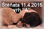 vrh-a-stenda-05042015