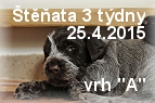 vrh-a-stenda-05042015