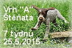 vrh-a-stenda-05042015