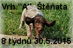 vrh-a-stenda-05042015