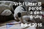 vrh b porod 08042016