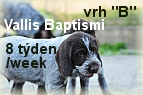 vrh B 04062016