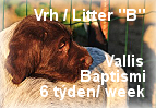 vrh b stenda 23052016