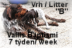 vrh b stenda 23052016