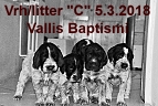 vrh c 5.3.2018